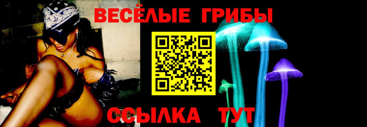 Псилоцибиновые грибы Magic Shrooms  Вход с VPN  где купить наркоту  Нефтекумск 